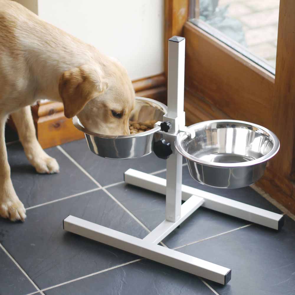 Rosewood Stainless Steel Double Diner Set for Dogs  2.25L Image 4