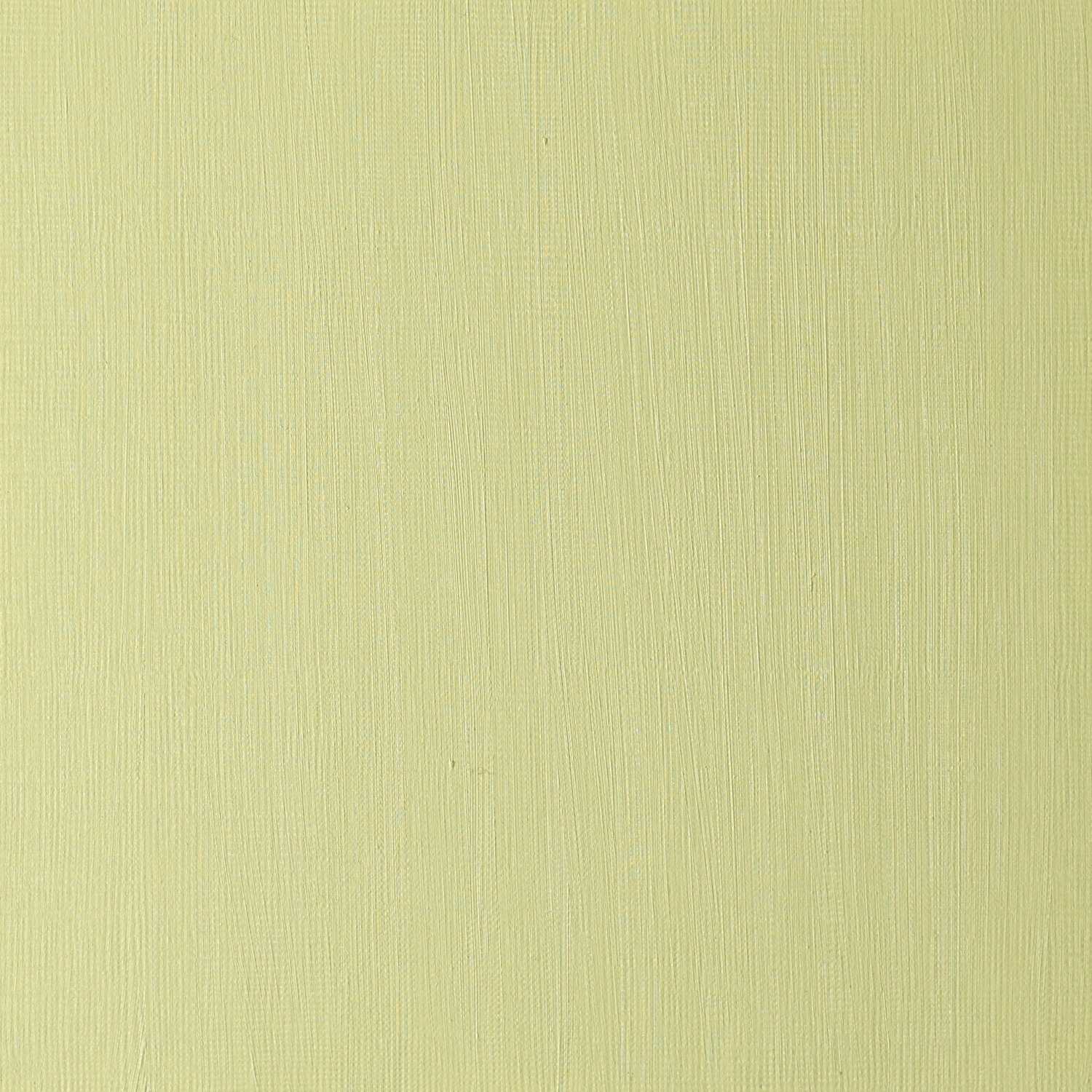 Winsor and Newton 37ml Winton Oil Colours - Sap Green Image 3