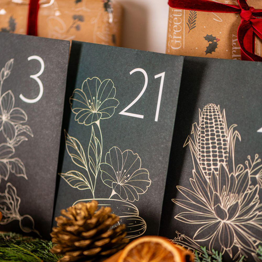 Thompson and Morgan Christmas Gift Flowers Seed Christmas Gift Advent Calendar Kit Image 5