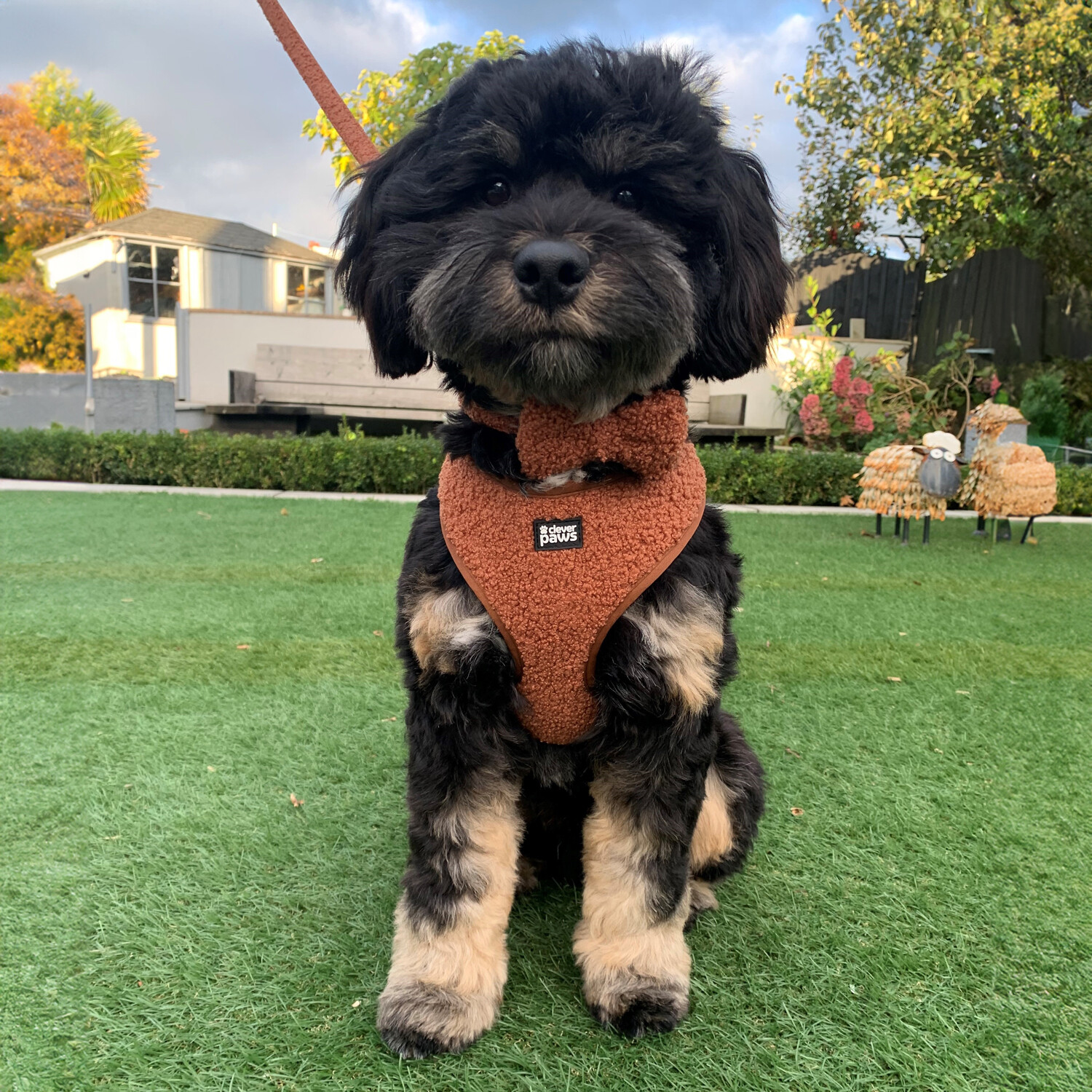 Cosy Collection Dog Hoody - Medium Image 6