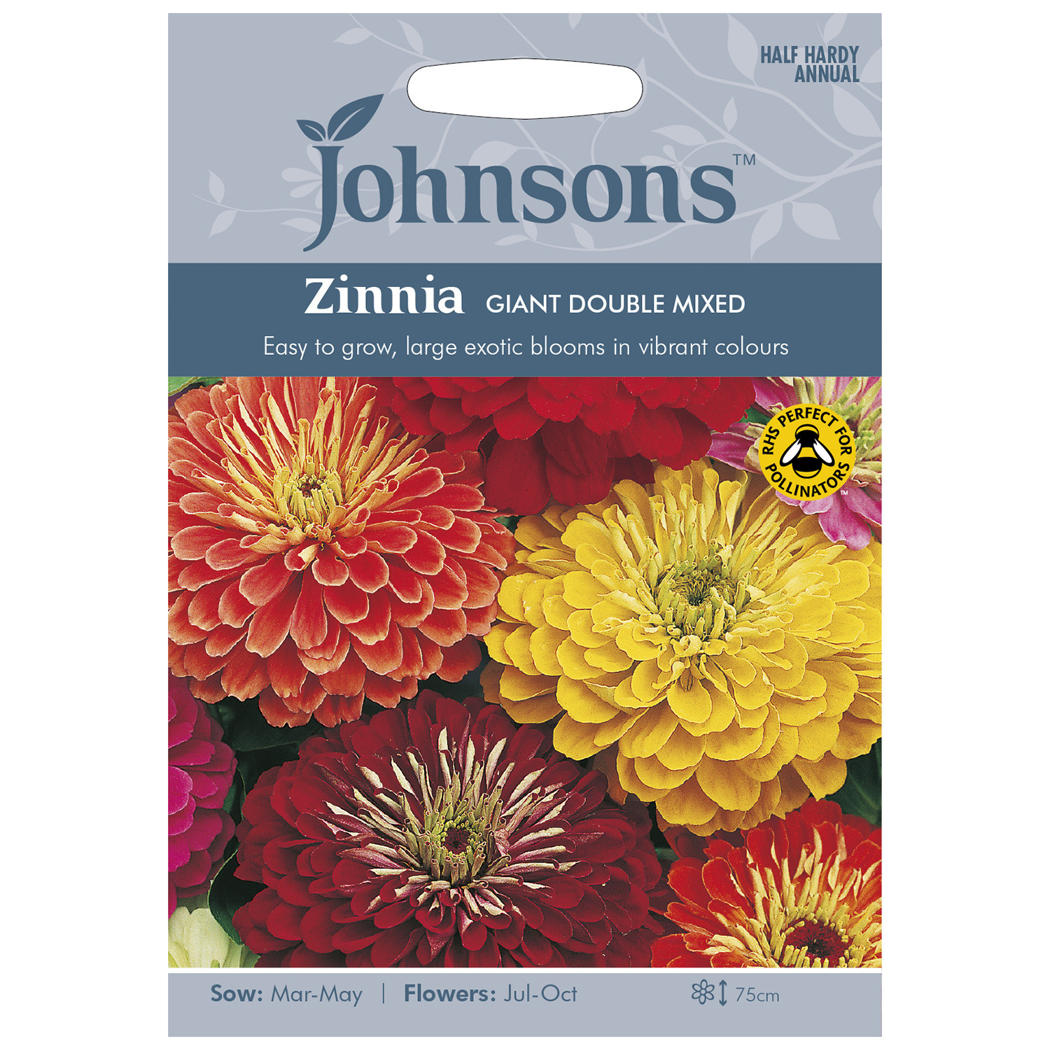 Johnsons Pack of Giant Double Mixed Zinnia Flower Seeds Image