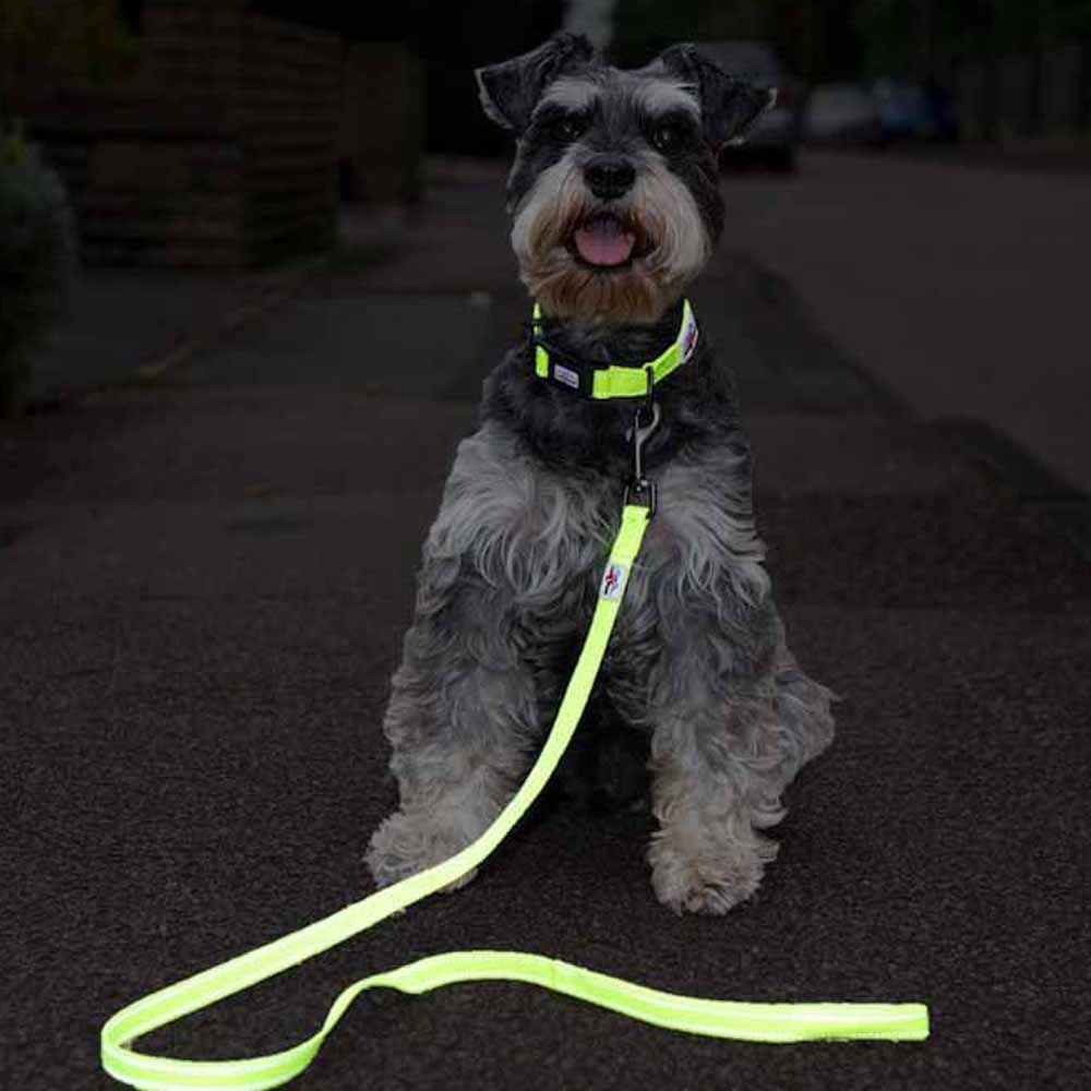 Long Paws Extra Small Reflective Collar Image 13