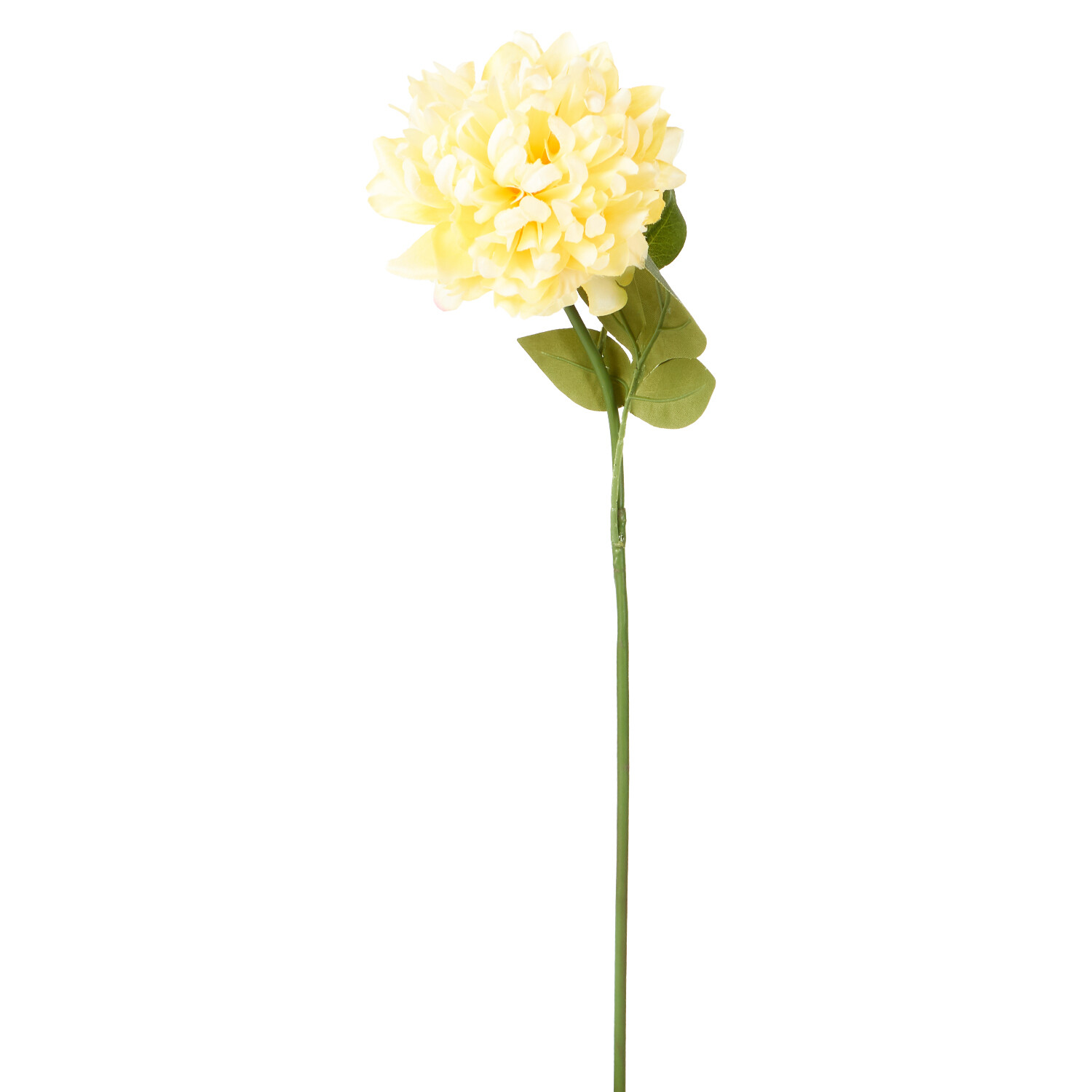 Assorted Pom Stem  - Yellow or Cream Image 1