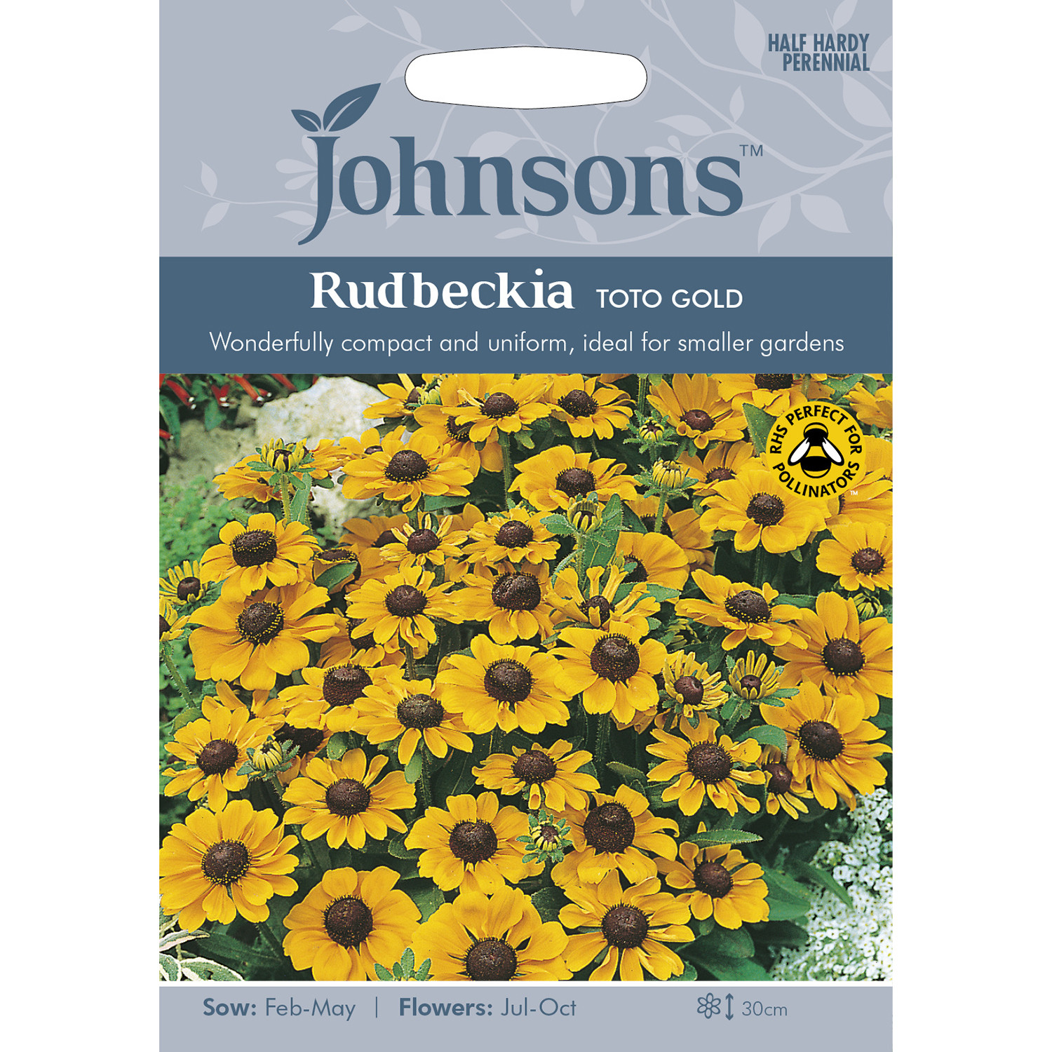 Pack of Toto Gold Rudbeckia Flower Seeds Image 2