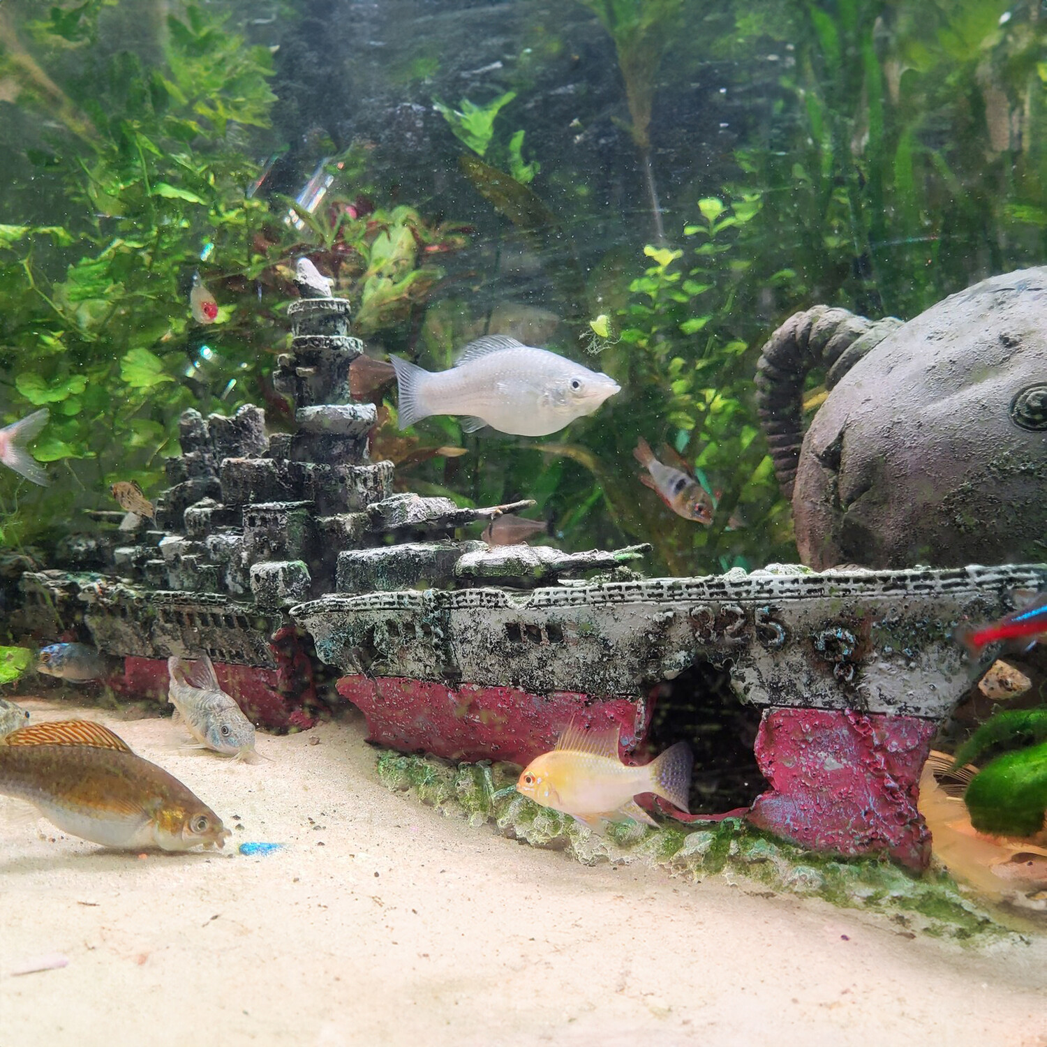 Underwater Warship Aquarium Ornament - Black Image 3