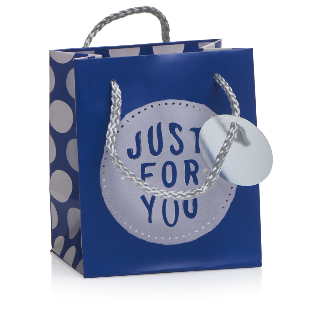Wilko Small Blue Spot Gift Bag Image