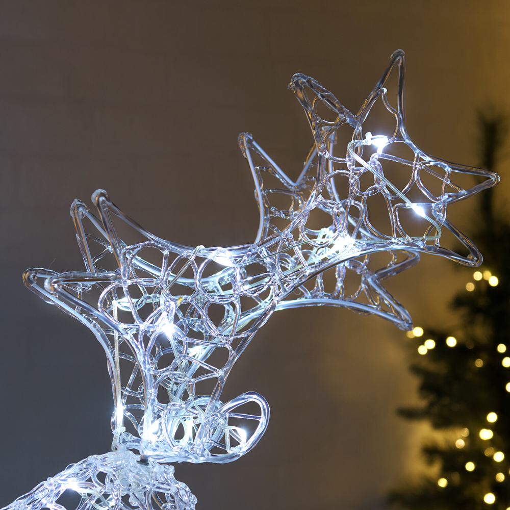 60 LED Acrylic Stag Image 2