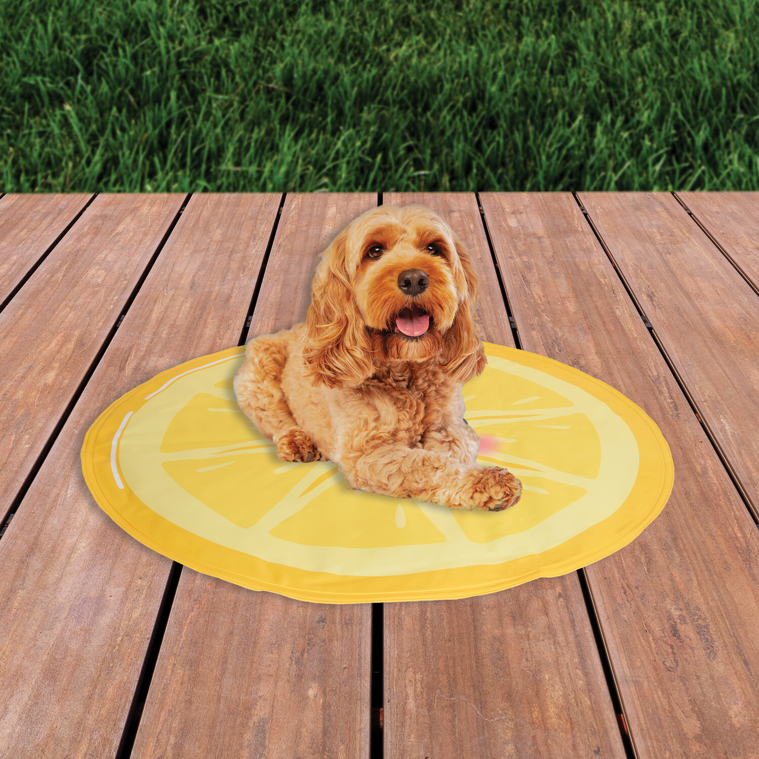 Lemon Cooling Dog Mat Yellow Image 2