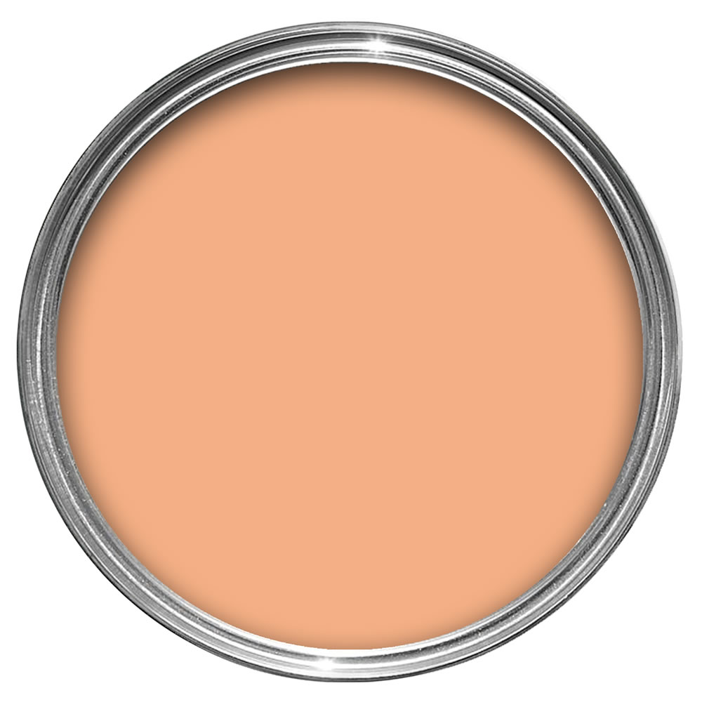 Wilko Warm Days Matt Emulsion Paint 2.5L Wilko