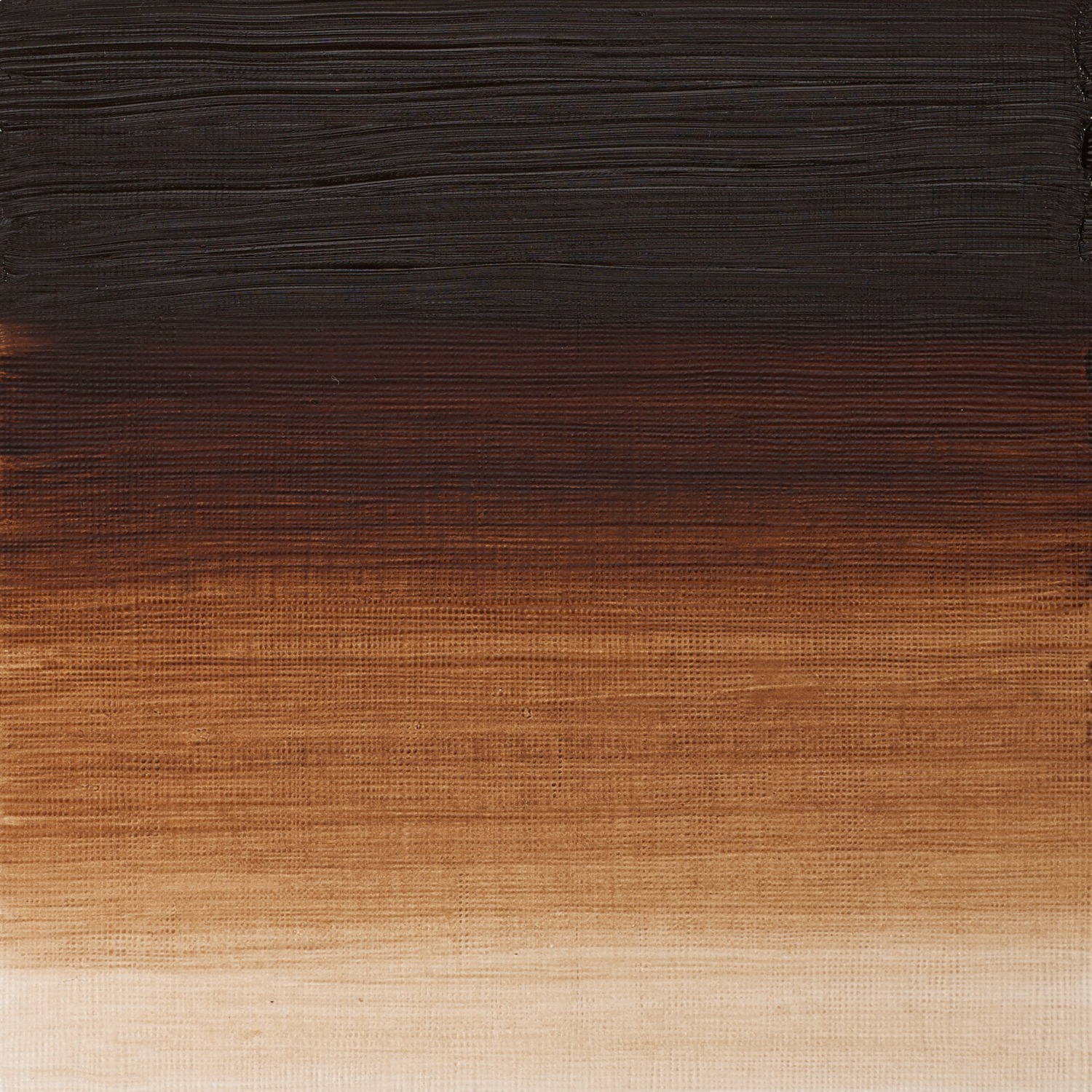 Winsor and Newton 37ml Artists' Oil Colours - Burnt Umber Image 2