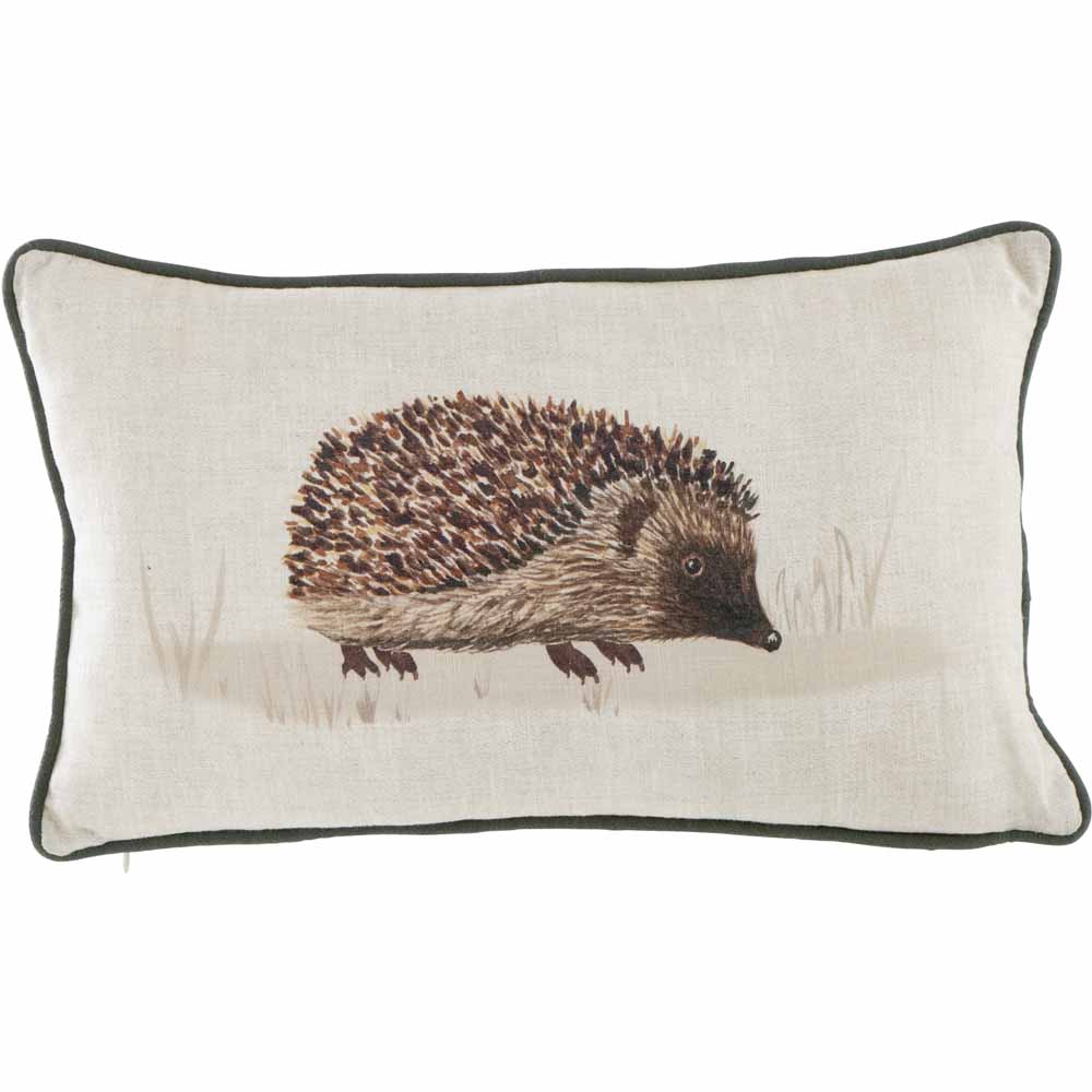 Wilko Hedgehog Cushion 30 x 50cm Image 1