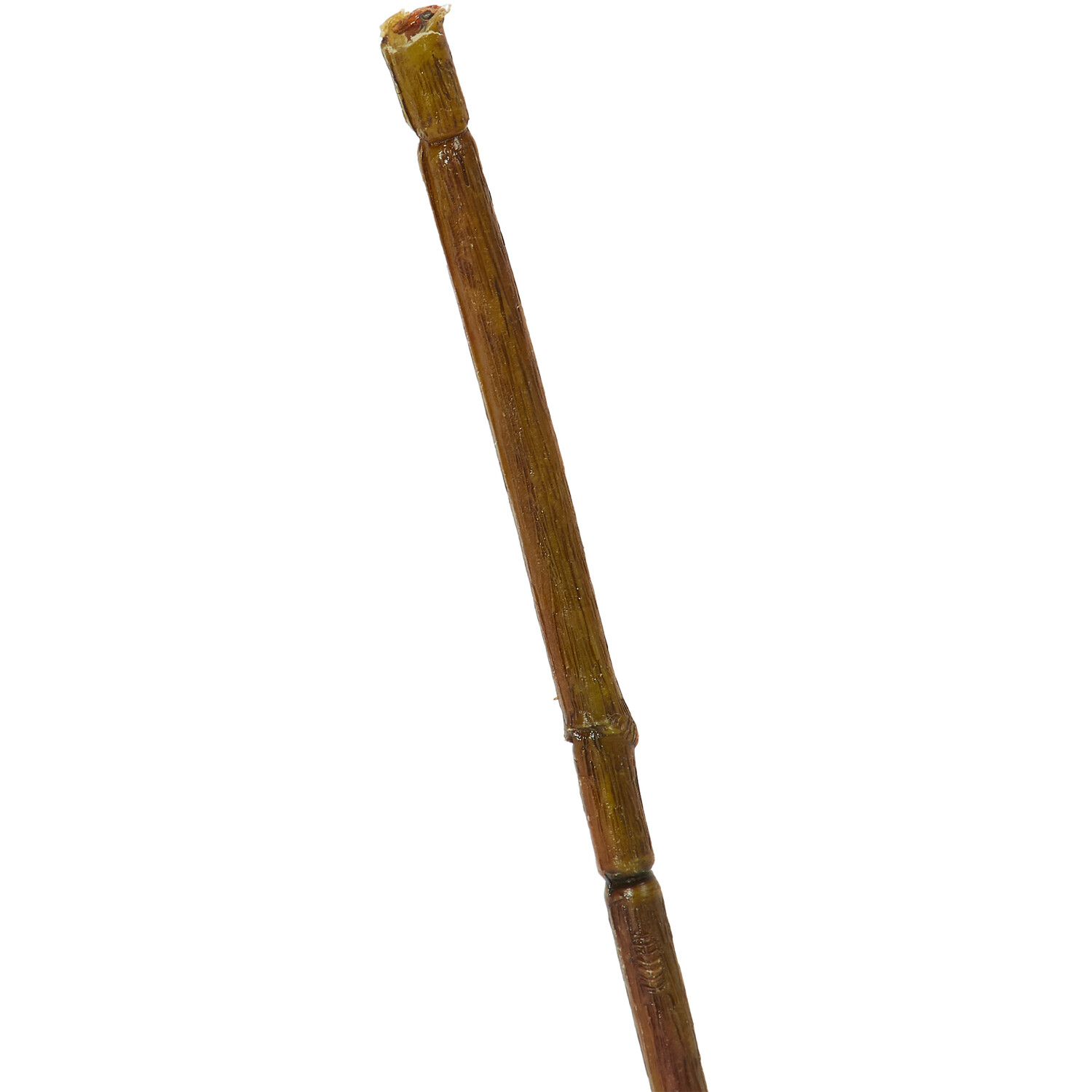 Leaves Spray - Green Image 4