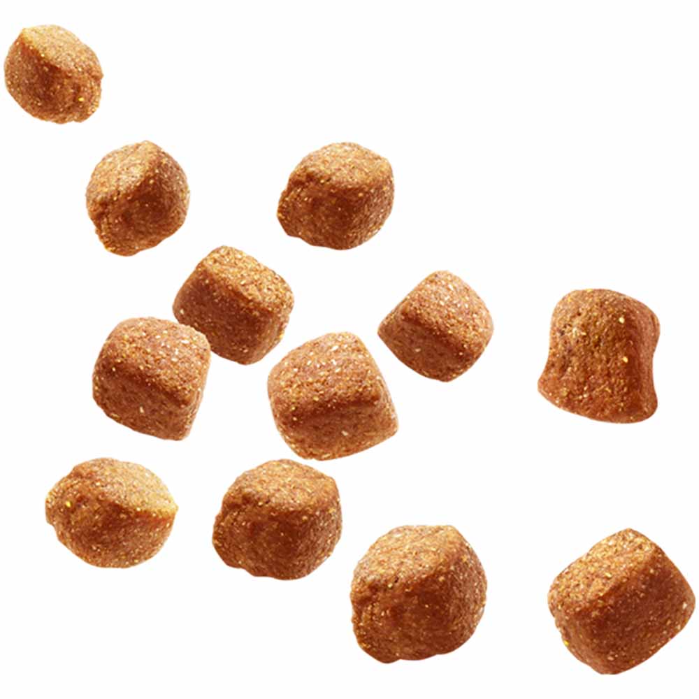 Pedigree Tasty Minis Puppy Treats Chewy Cubes with Chicken 125g Image 3