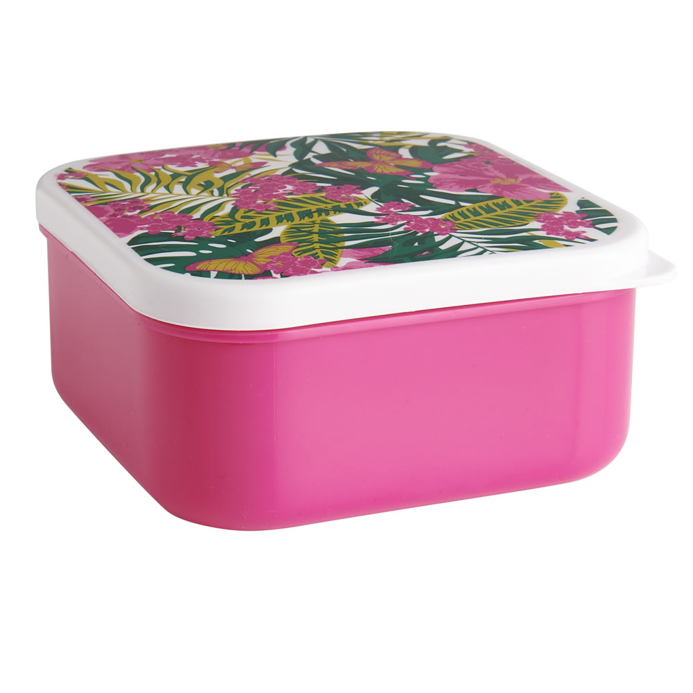 Wilko Picnic Tropical Containers Assorted Image 2