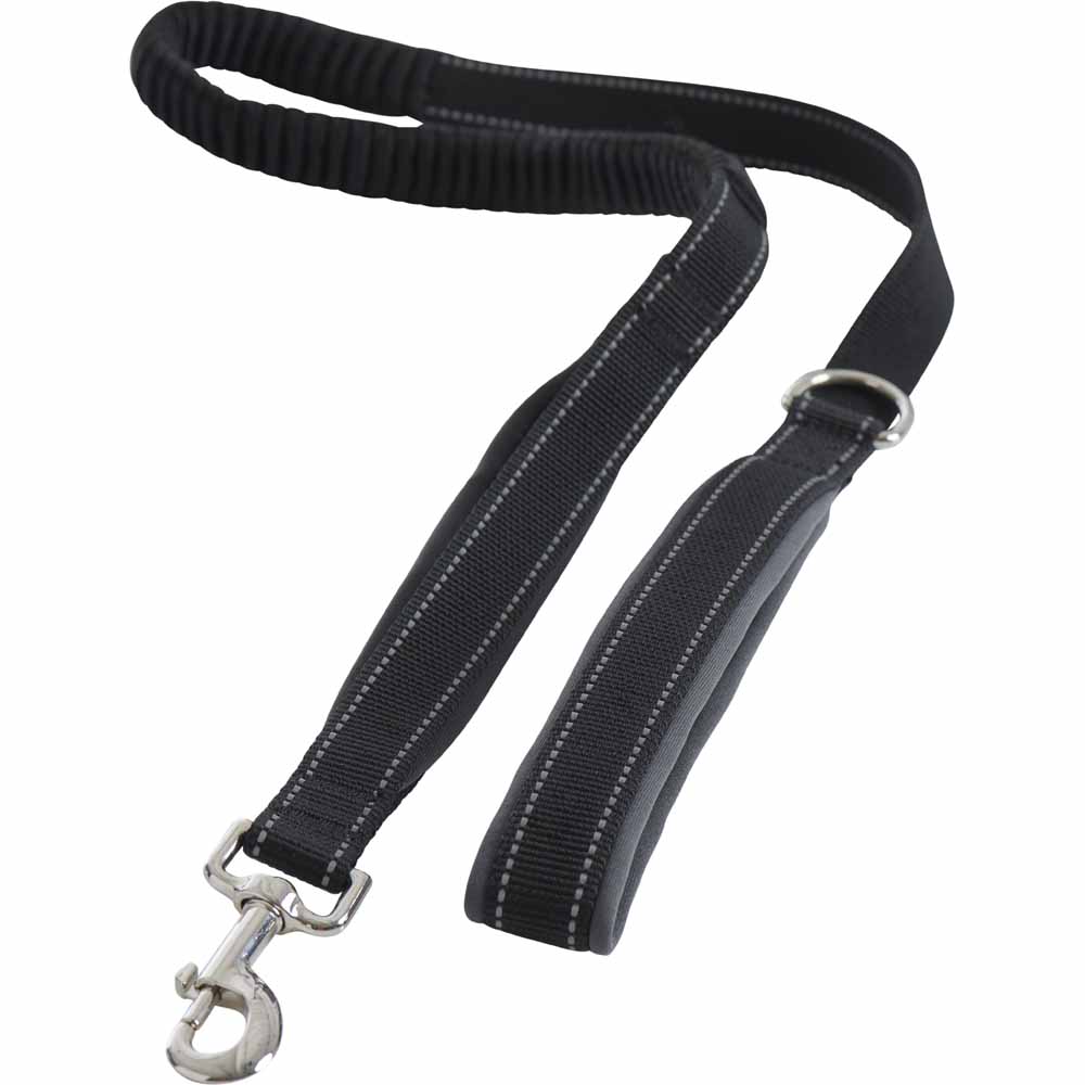 Rosewood Bungee dog lead Image 1