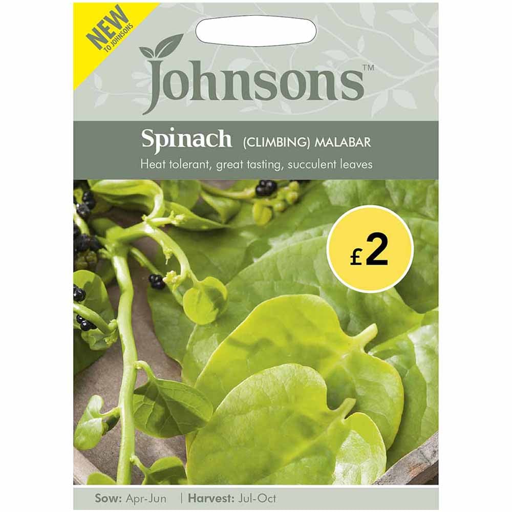 Johnsons Spinach Malabar Climbing Seeds Image 2