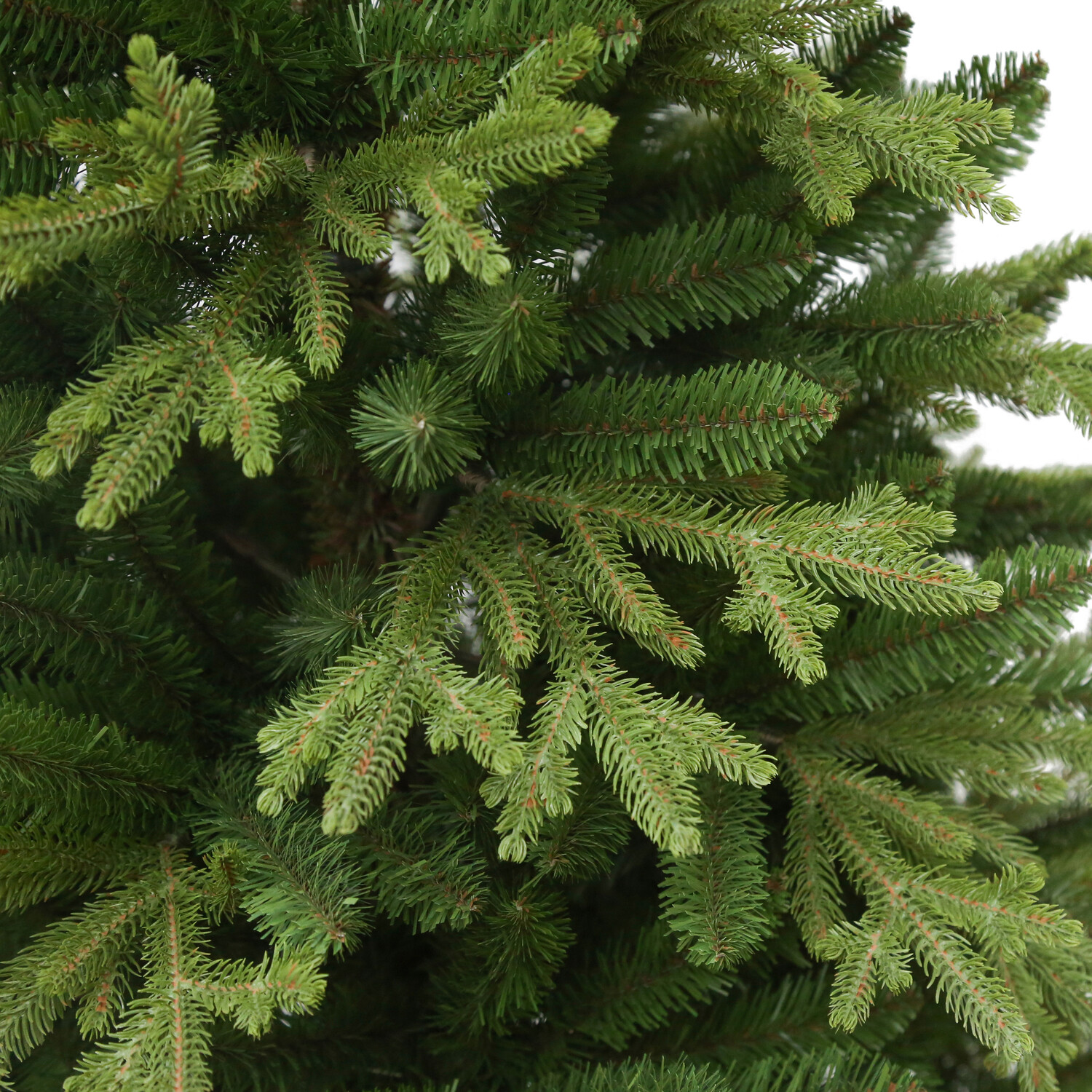 Ashford Fir Tree Green 6ft Image 3