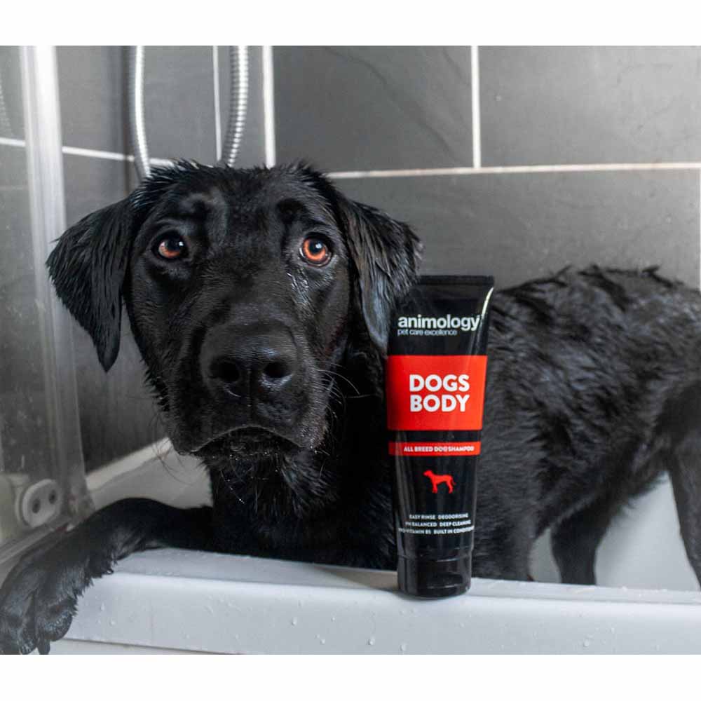 Animology Dogs Body All Breed Dog Shampoo 250ml Image 3