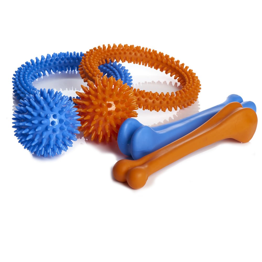 Single Wilko Chewies Dog Toy in Assorted styles Image 1