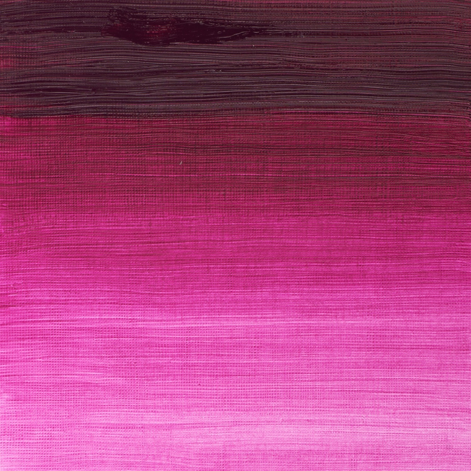 Winsor and Newton 37ml Winton Oil Colours - Magenta Image 2