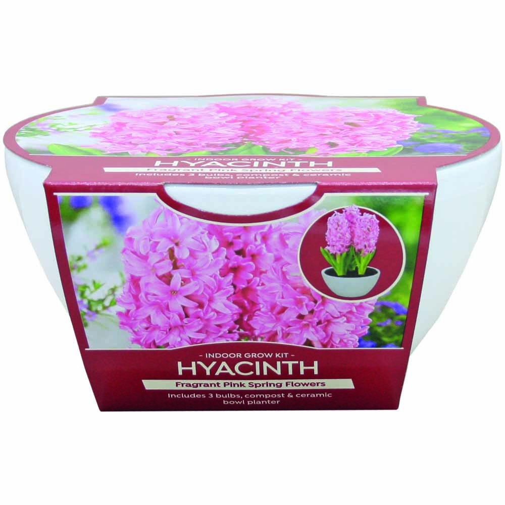 Wilko Christmas Ceramic Hyacinth Bowl Image 2