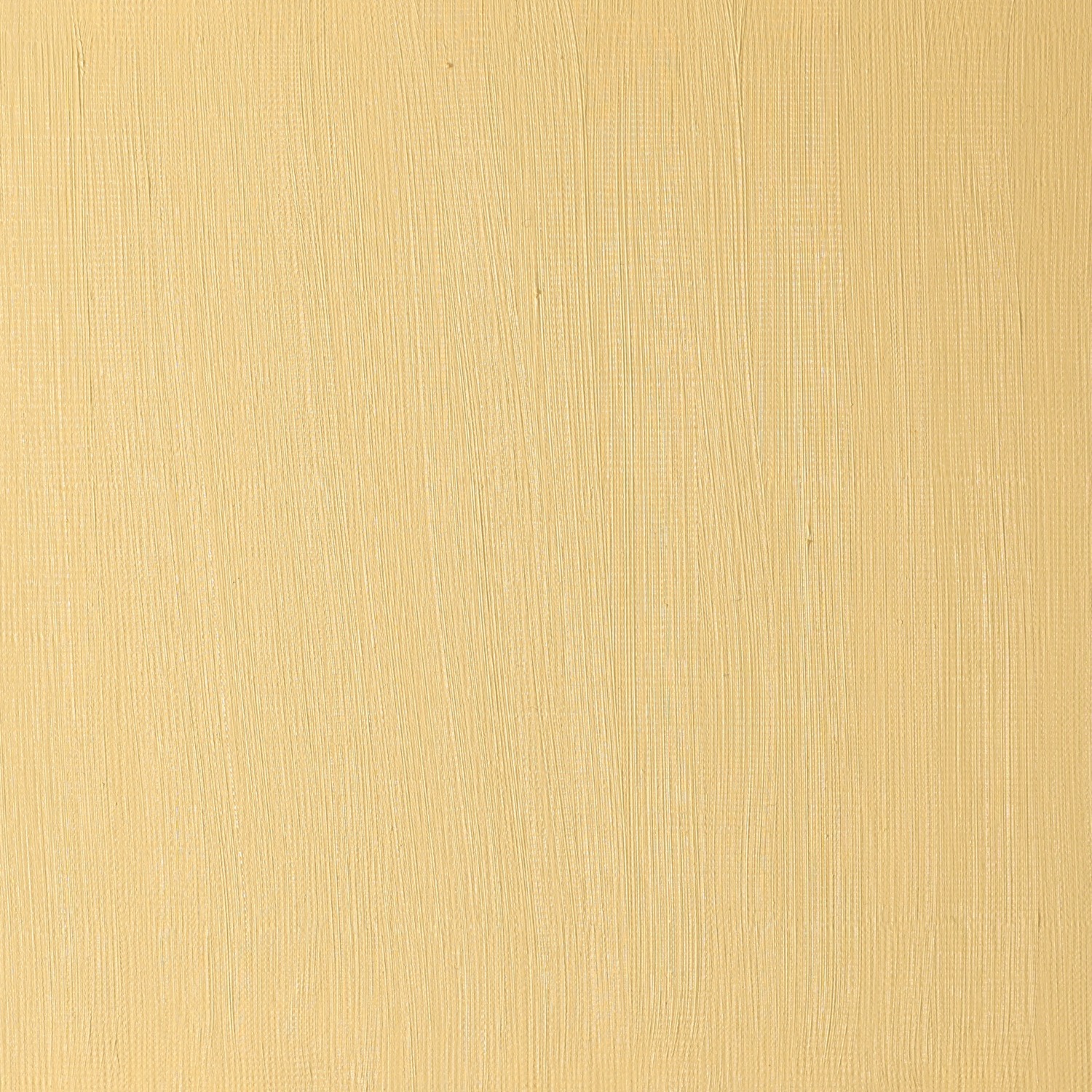 Winsor and Newton 200ml Winton Oil Colours - Yellow Ochre Image 3
