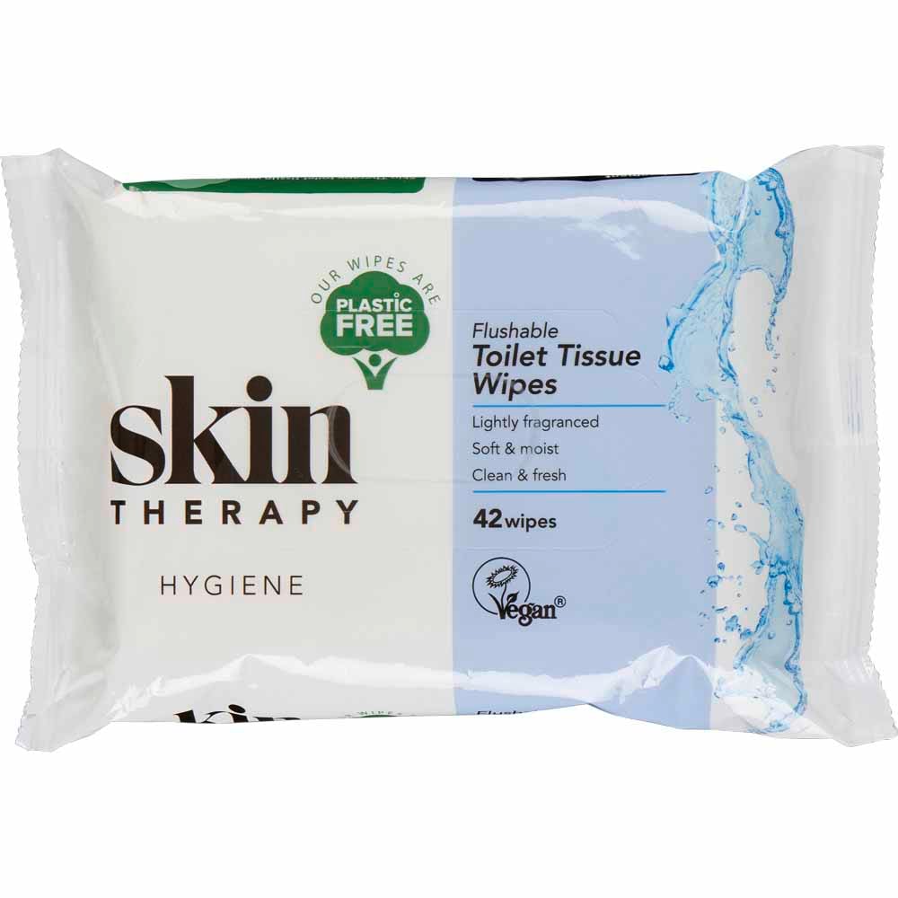 Skin Therapy Toilet Tissue Wipes 42 Pack Image 1