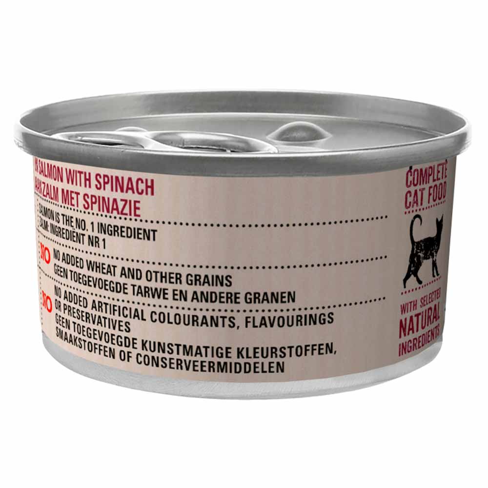 Beyond Grain Free Cat Food Salmon in Mousse 85g Image 5