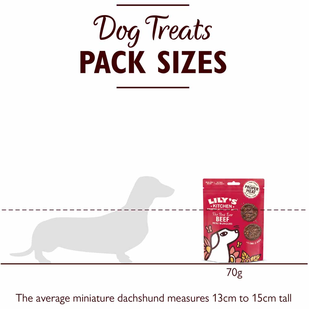 Lily's Kitchen Mini Beef Burgers Dog Treats 70g Image 4