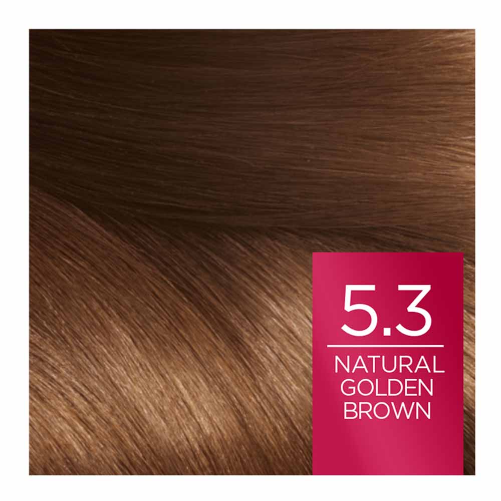 L'Oreal Paris Excellence Creme 5.3 Natural Golden Brown Permanent Hair Dye Image 5