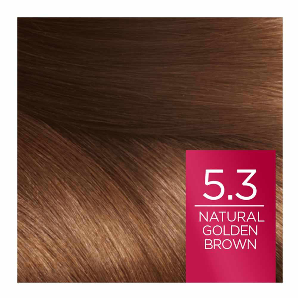 L'Oreal Paris Excellence Creme Natural Golden Brown Permanent Hair Dye | Wilko L'Oreal Paris Excellence Creme Natural Golden Brown Permanent Hair Dye | Wilko