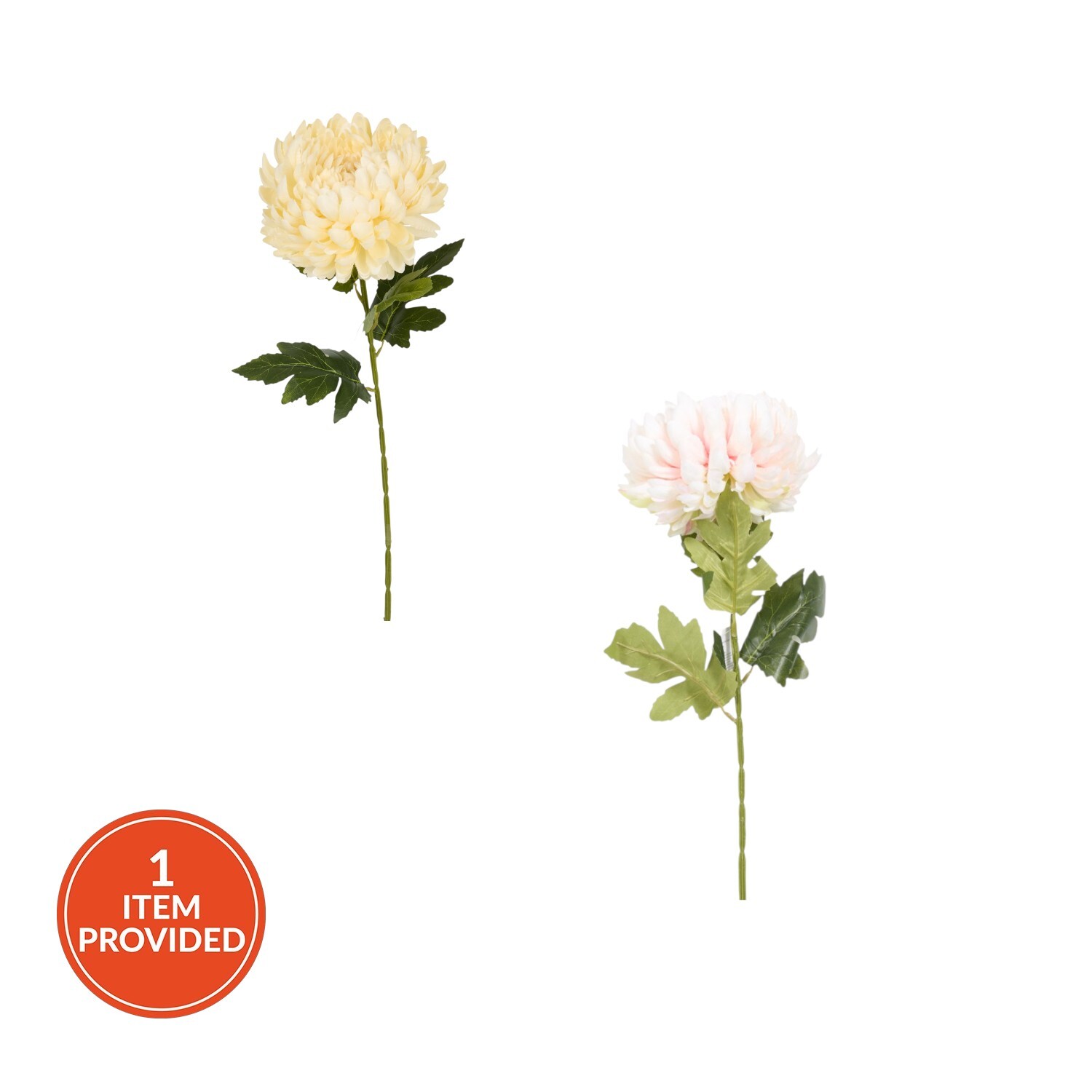 Large Fuji Mum Pom Stem 70cm Asrt Image 1