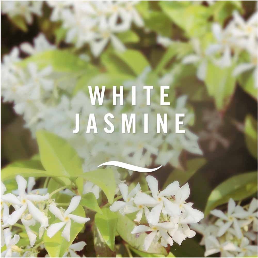 Febreze White Jasmine Aerosol Air Freshener 300ml Image 2