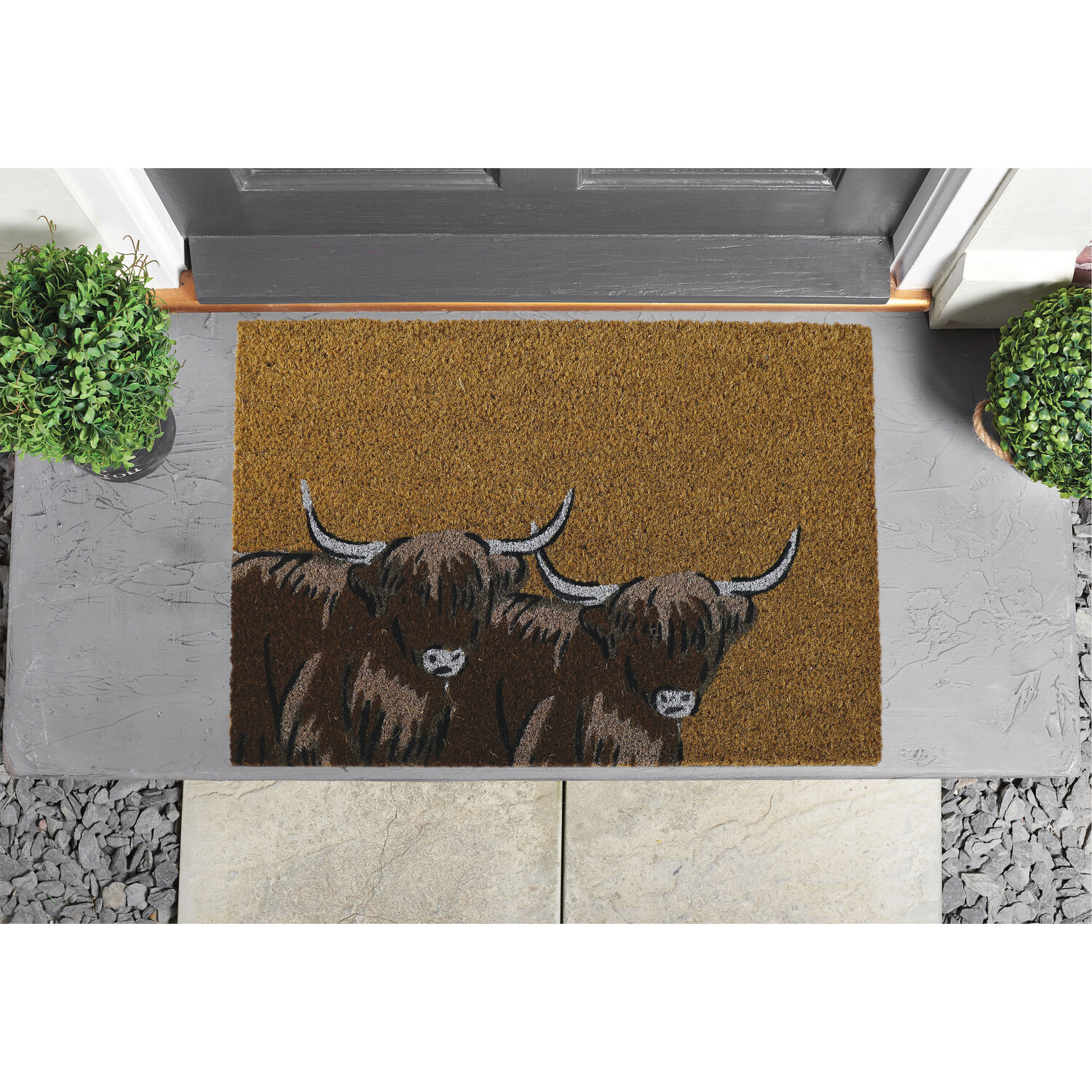 Single Brown Printed Coir and PVC Doormat 60 x 40cm in Assorted styles Image 2