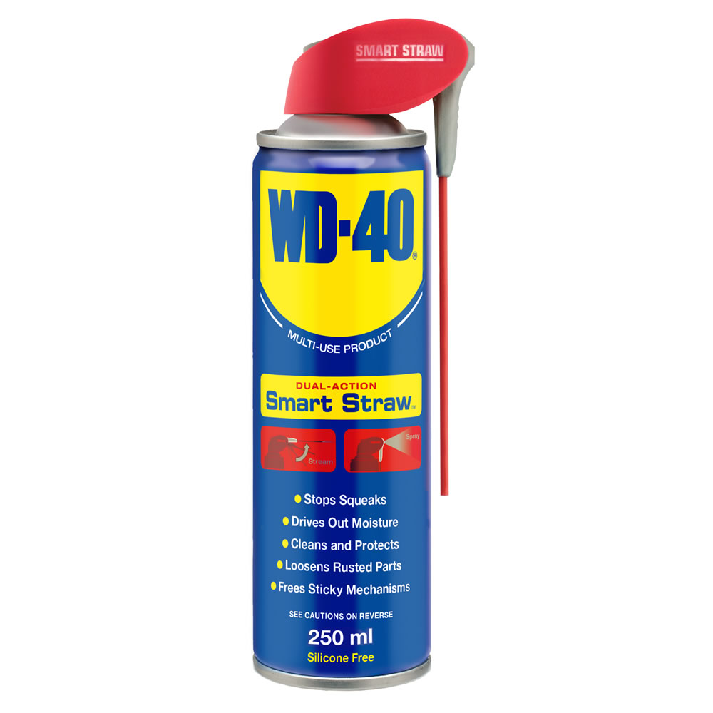 WD-40 Dual Action Lubricant Spray 250ml Image