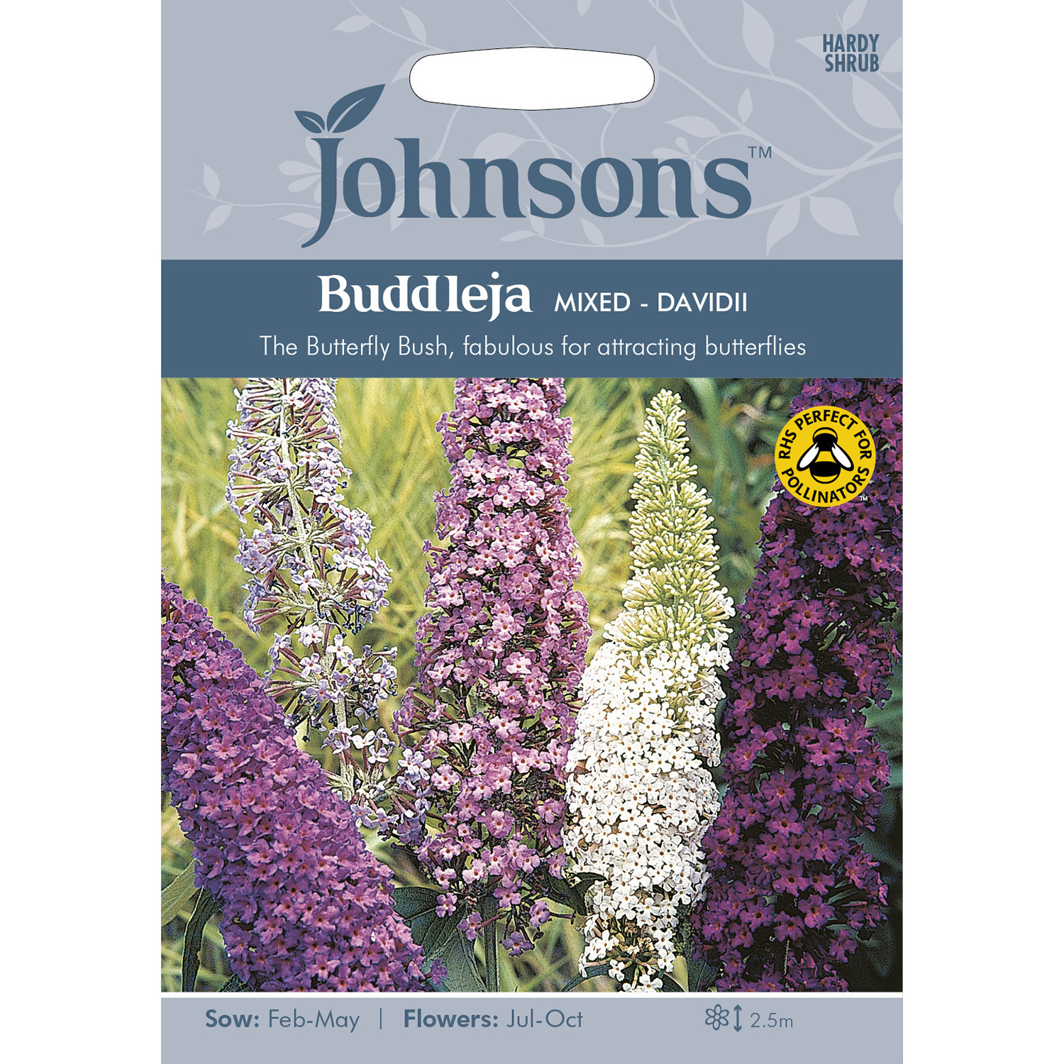 Johnsons Buddleja Mixed Flower Seeds Image 2