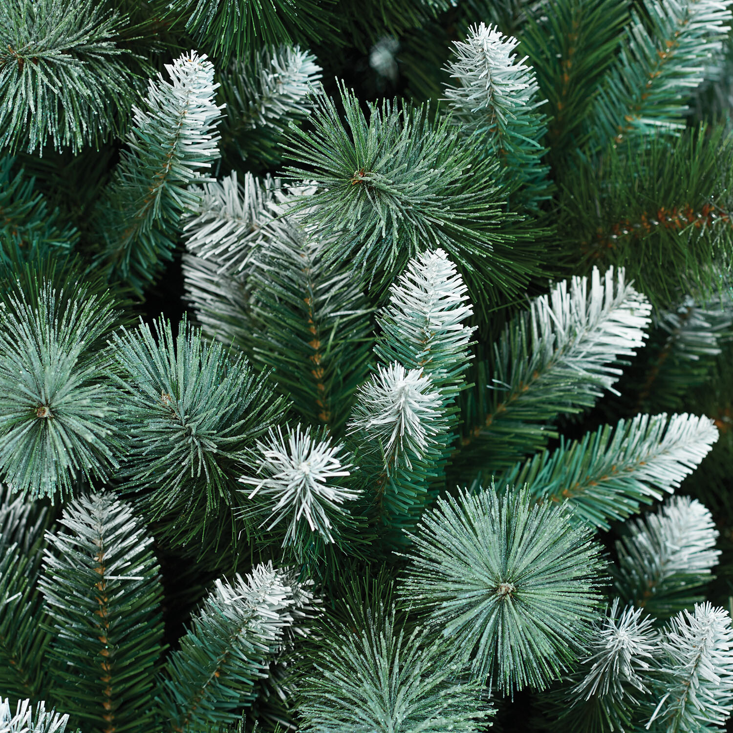 Emerald Pine Tree - 6.5ft Image 2