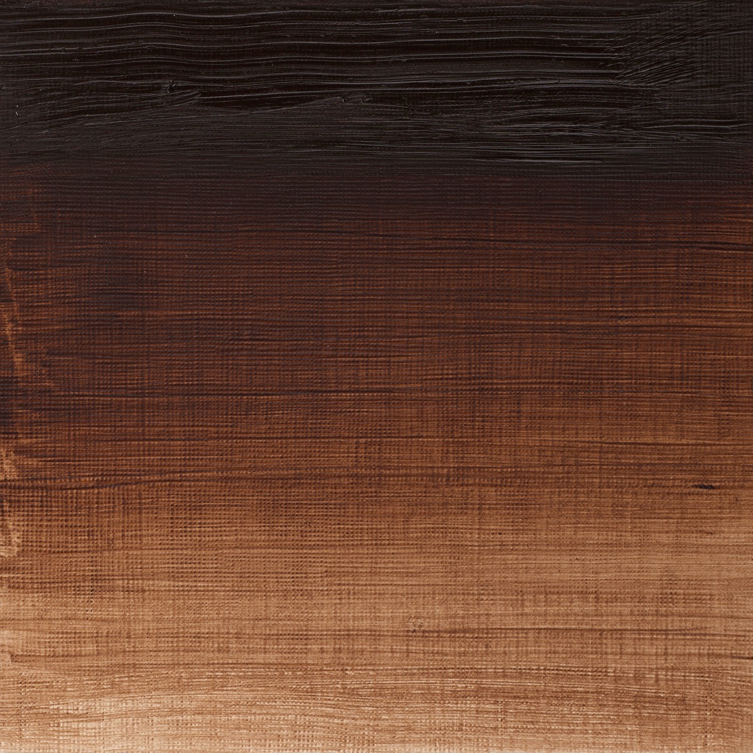 Winsor and Newton 37ml Winton Oil Colours - Burnt Umber Image 2