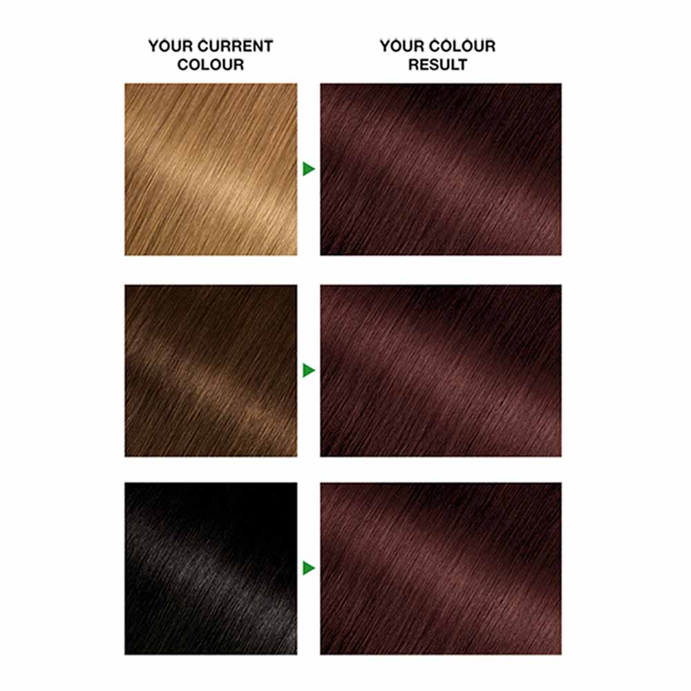 Garnier Nutrisse Ultra Chestnut Brown 5.25 Permanent Hair Dye Image 2