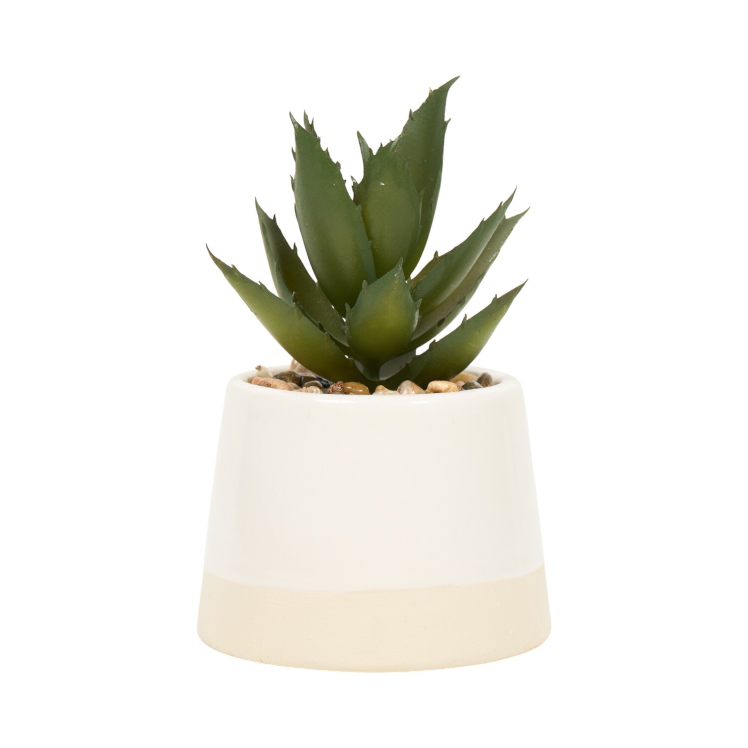 Mini Succulent Pot Image 3