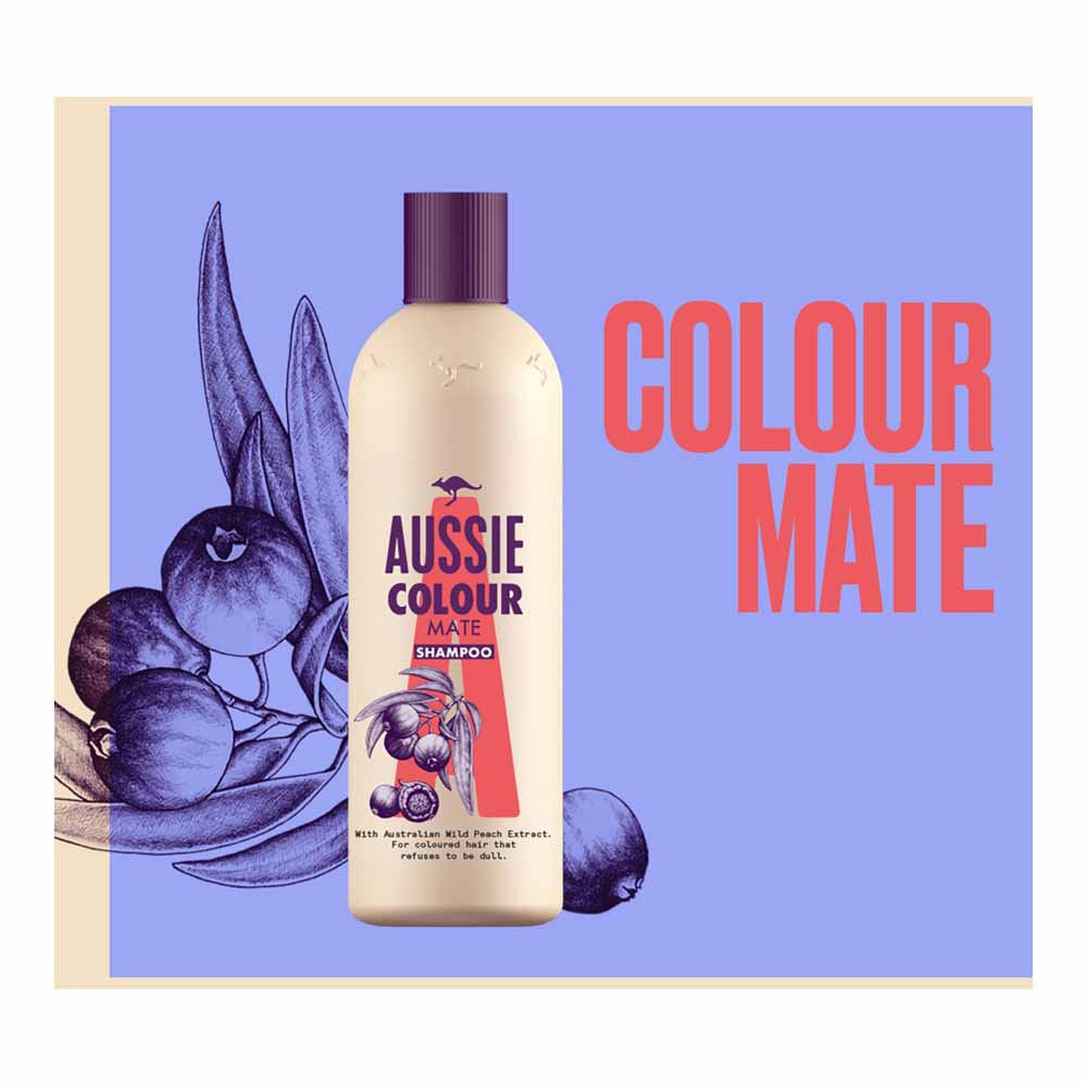 Tenen Aardbei in het midden van niets Aussie Colour Mate Shampoo 300ml | Wilko