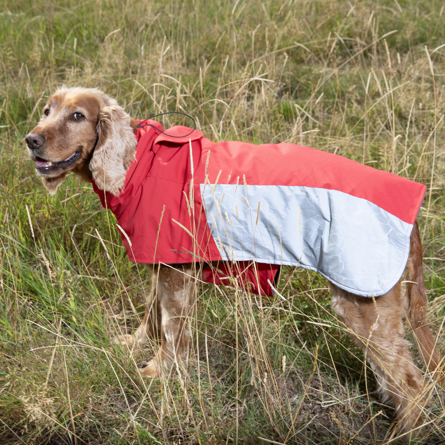 Discovery Reflective Dog Coat L Image 5