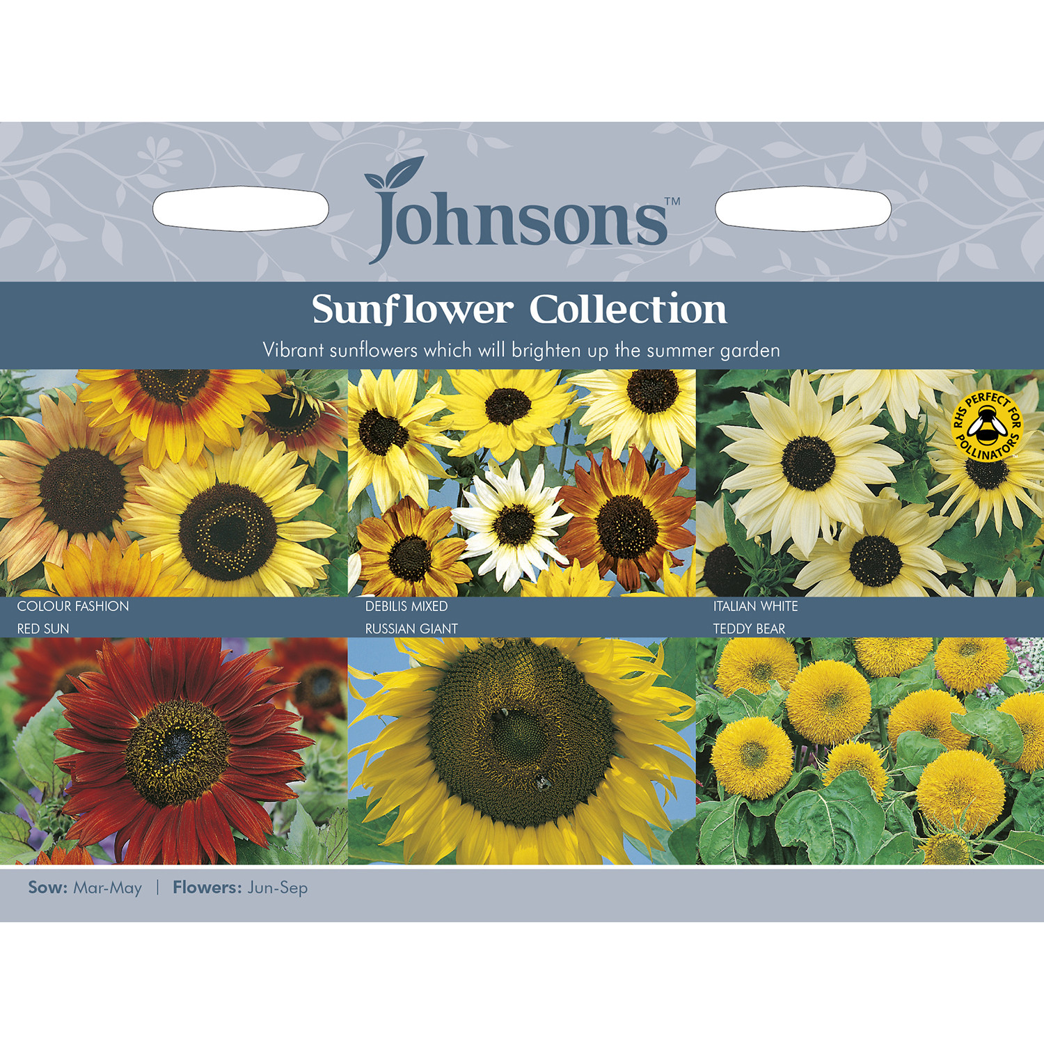 Sunflower Seed Collection Pack Image 1