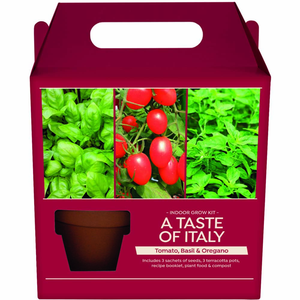 Wilko Christmas Italian Herb Growing Kit Wilko