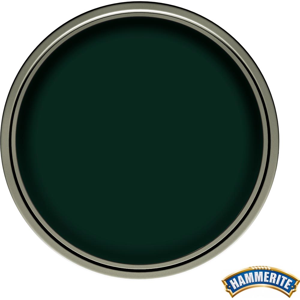 Hammerite Direct to Rust Dark Green Smooth Metal Paint 750ml Image 3