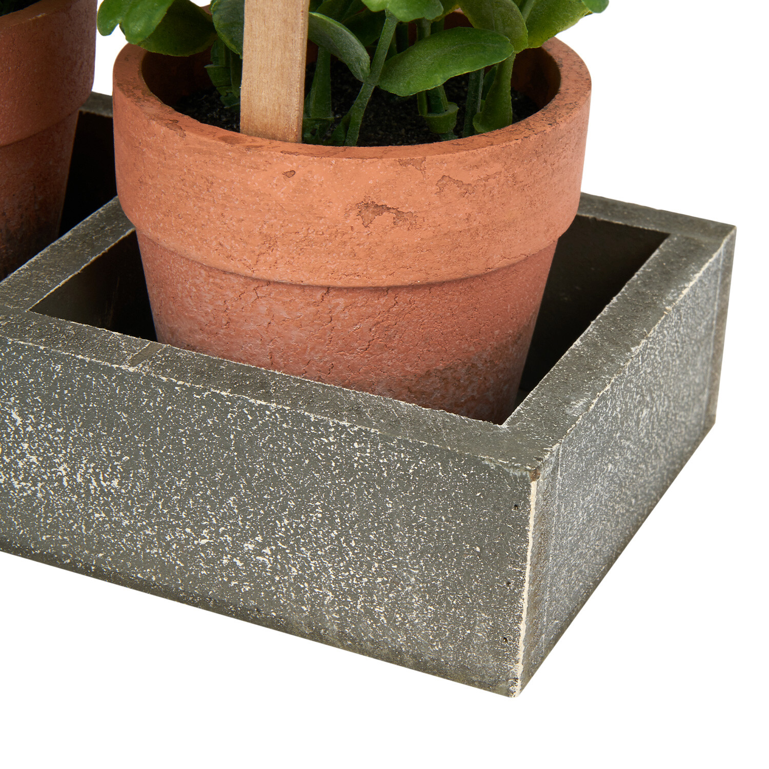Set of 3 Potted Herbs in Tray - Grey Image 3