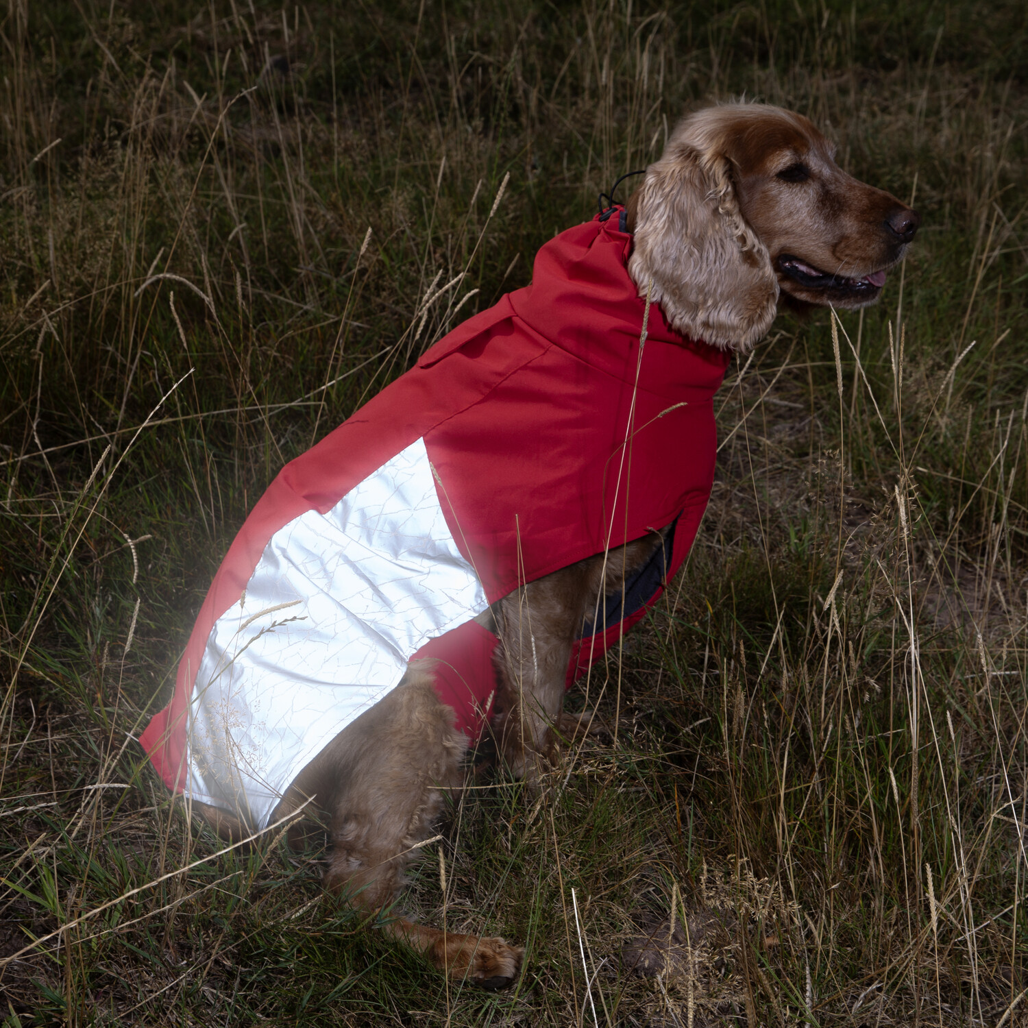 Discovery Reflective Dog Coat S Image 6