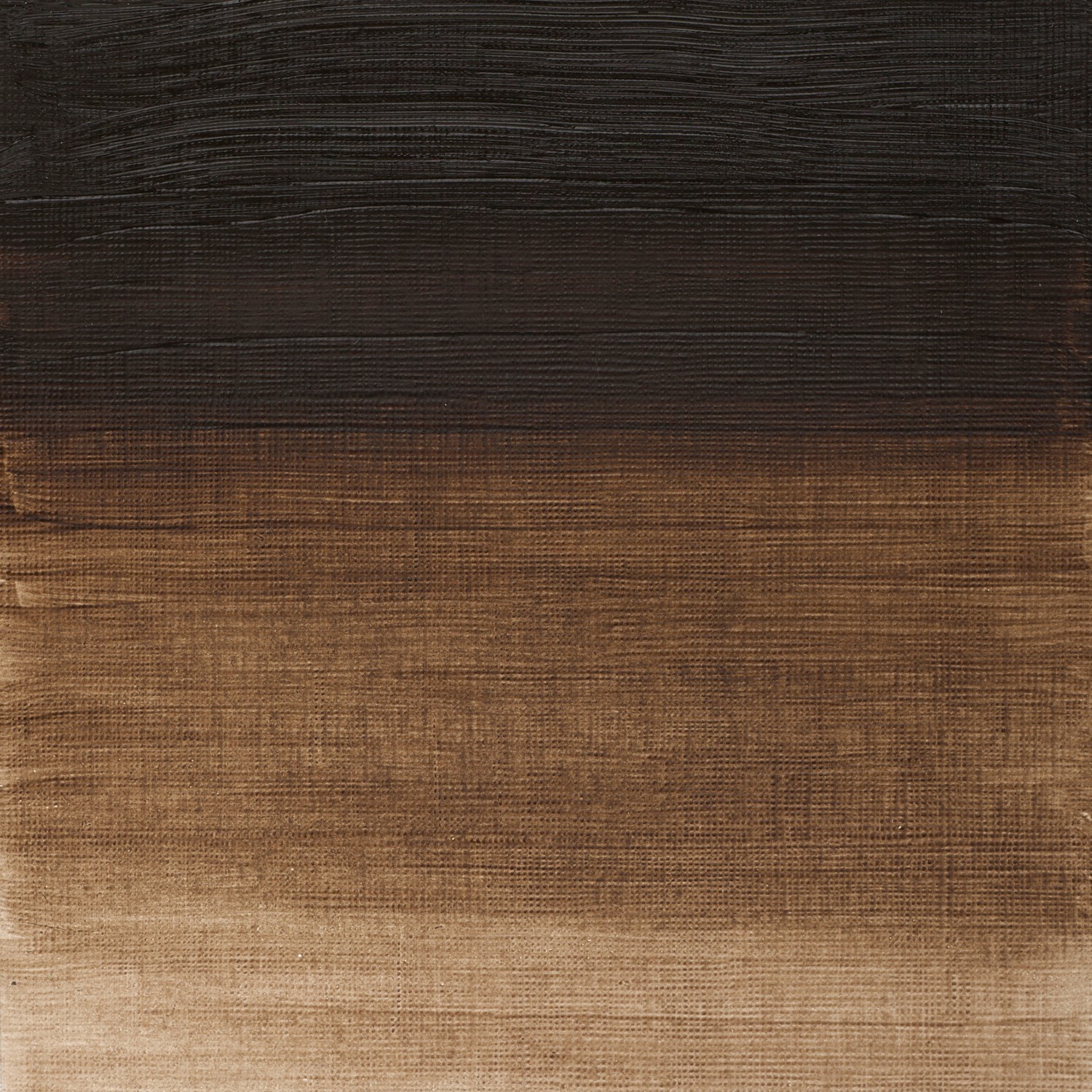 Winsor and Newton 37ml Winton Oil Colours - Raw Umber Image 2