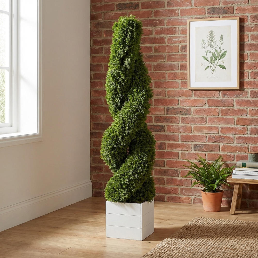 Cypress Spiral Tree - Green Image 6