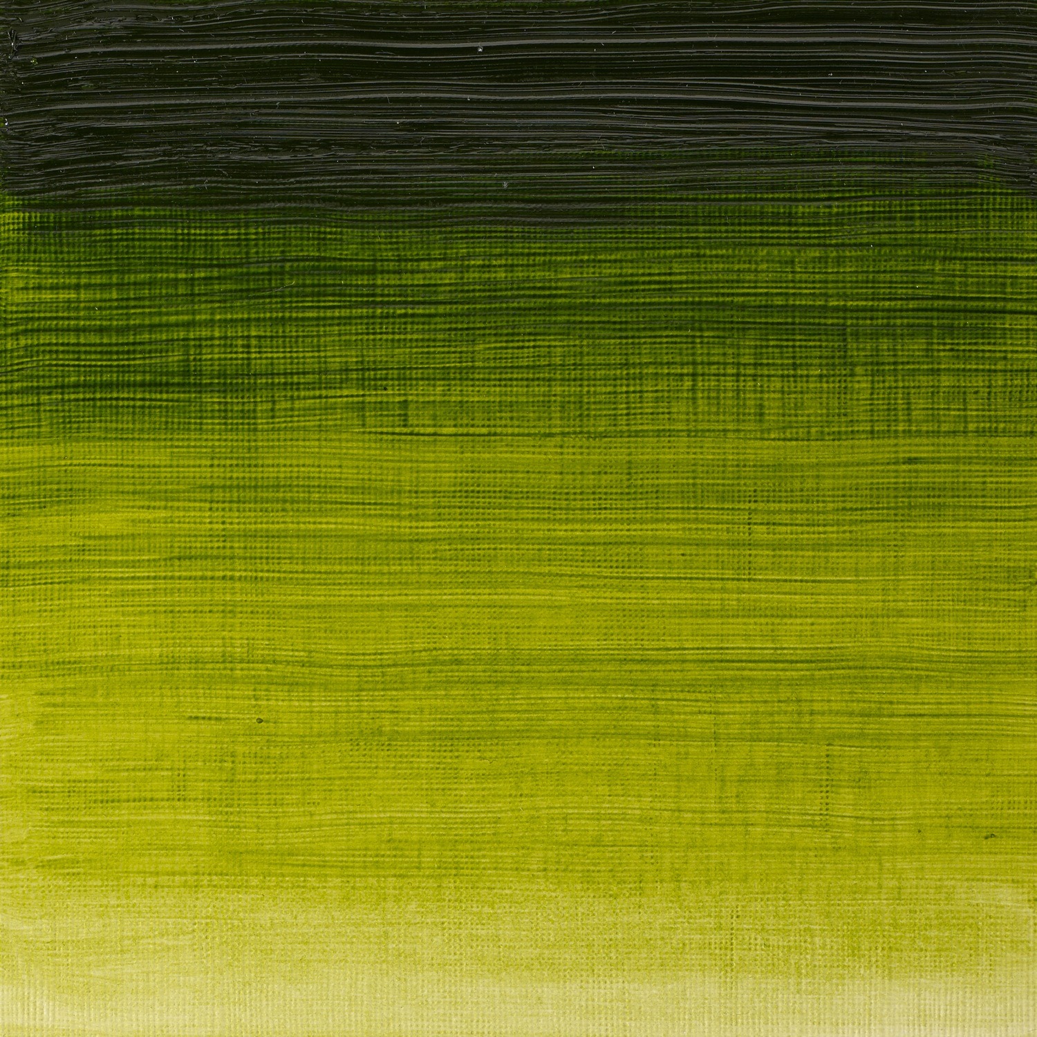 Winsor and Newton 37ml Winton Oil Colours - Sap Green Image 2